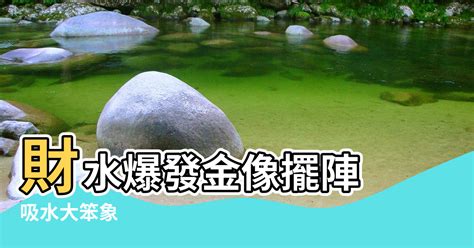 五行忌水 吸水大象